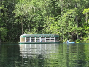 glass bottom boattour in Silver Springs State Park | Silver Springs